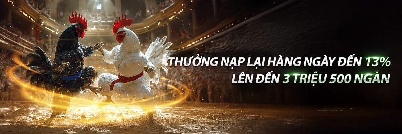 Đá Gà EA888 - Sân Chơi Đỉnh Cao